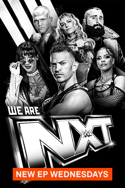 WWE NXT Dizi afişi