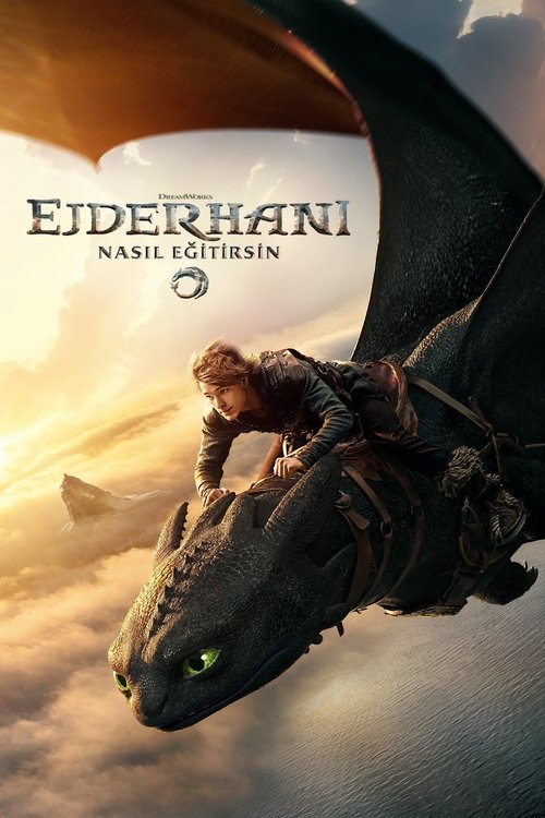 Ejderhanı Nasıl Eğitirsin Film afişi