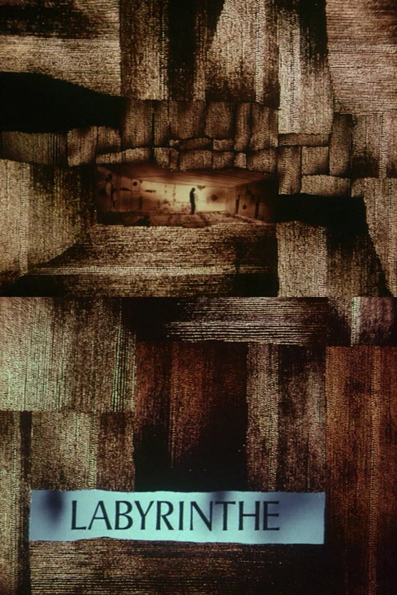 Le labyrinthe Film afişi