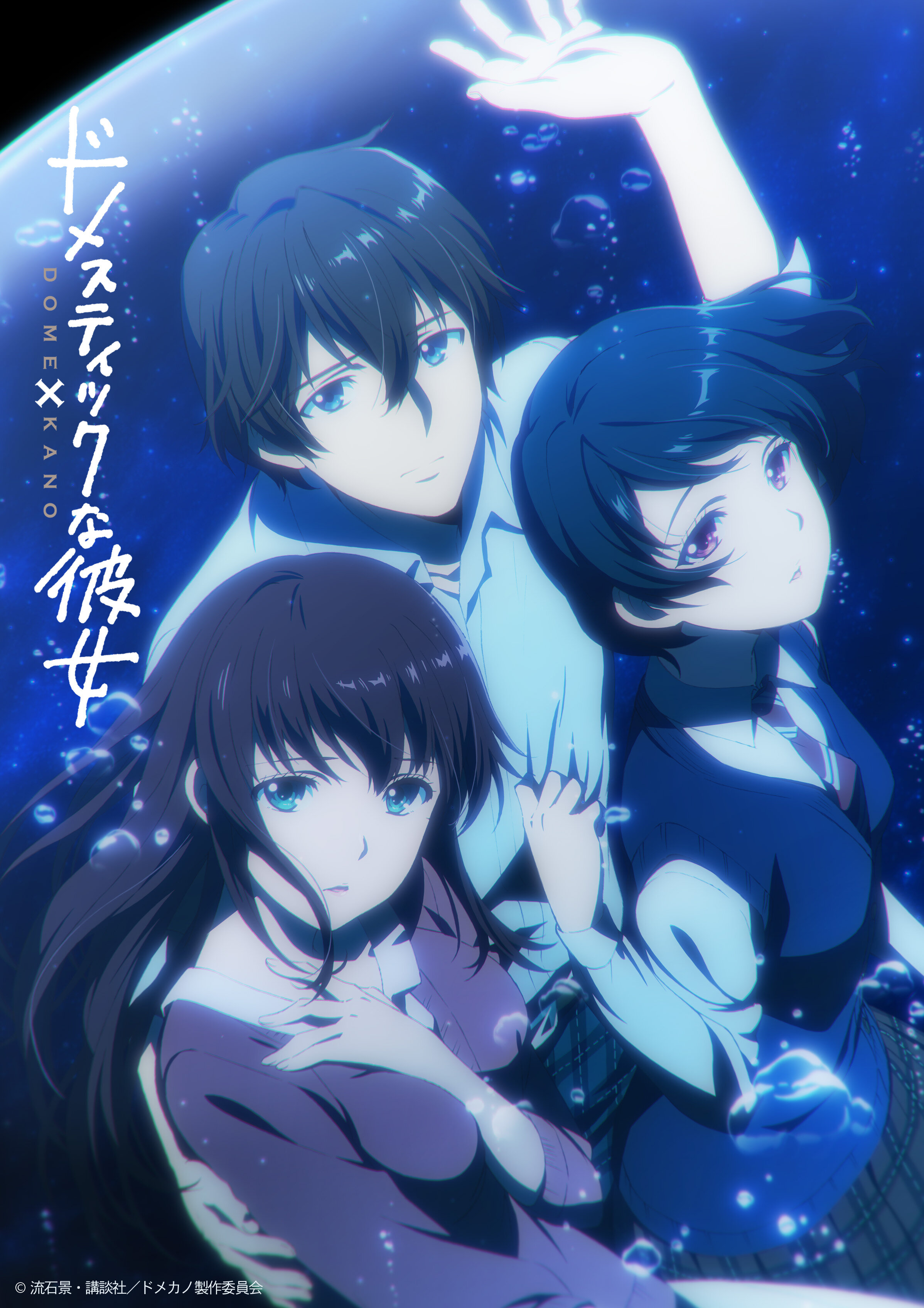 Domestic no Kanojo Dizi afişi