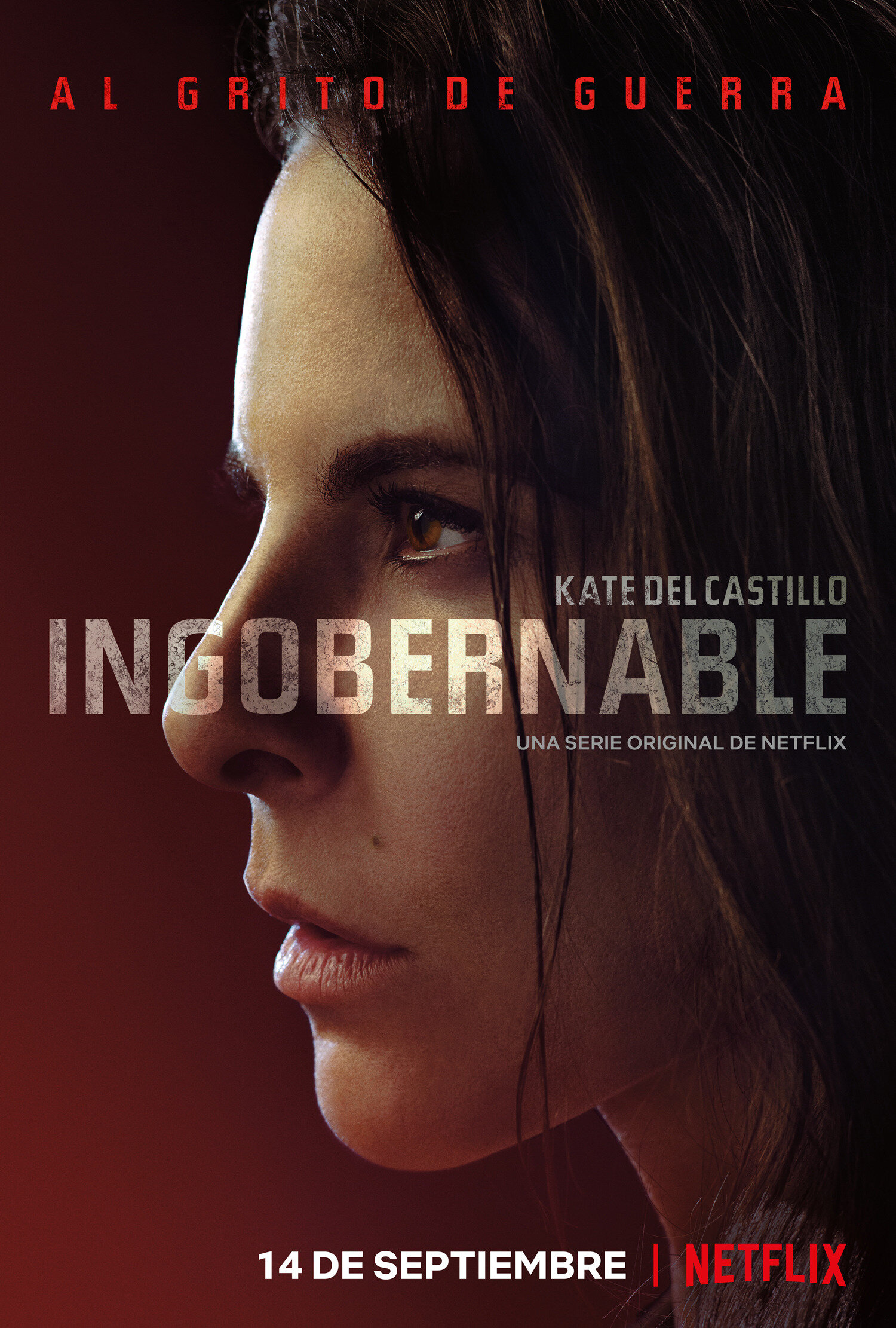Ingobernable Dizi afişi