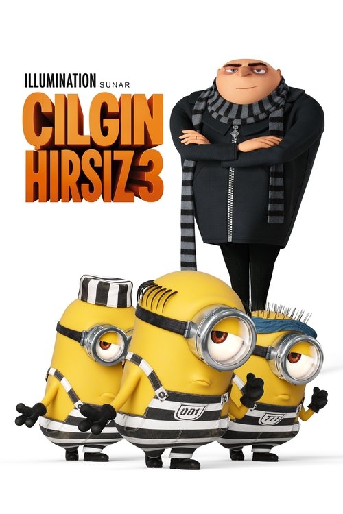 Çılgın Hırsız Film afişi